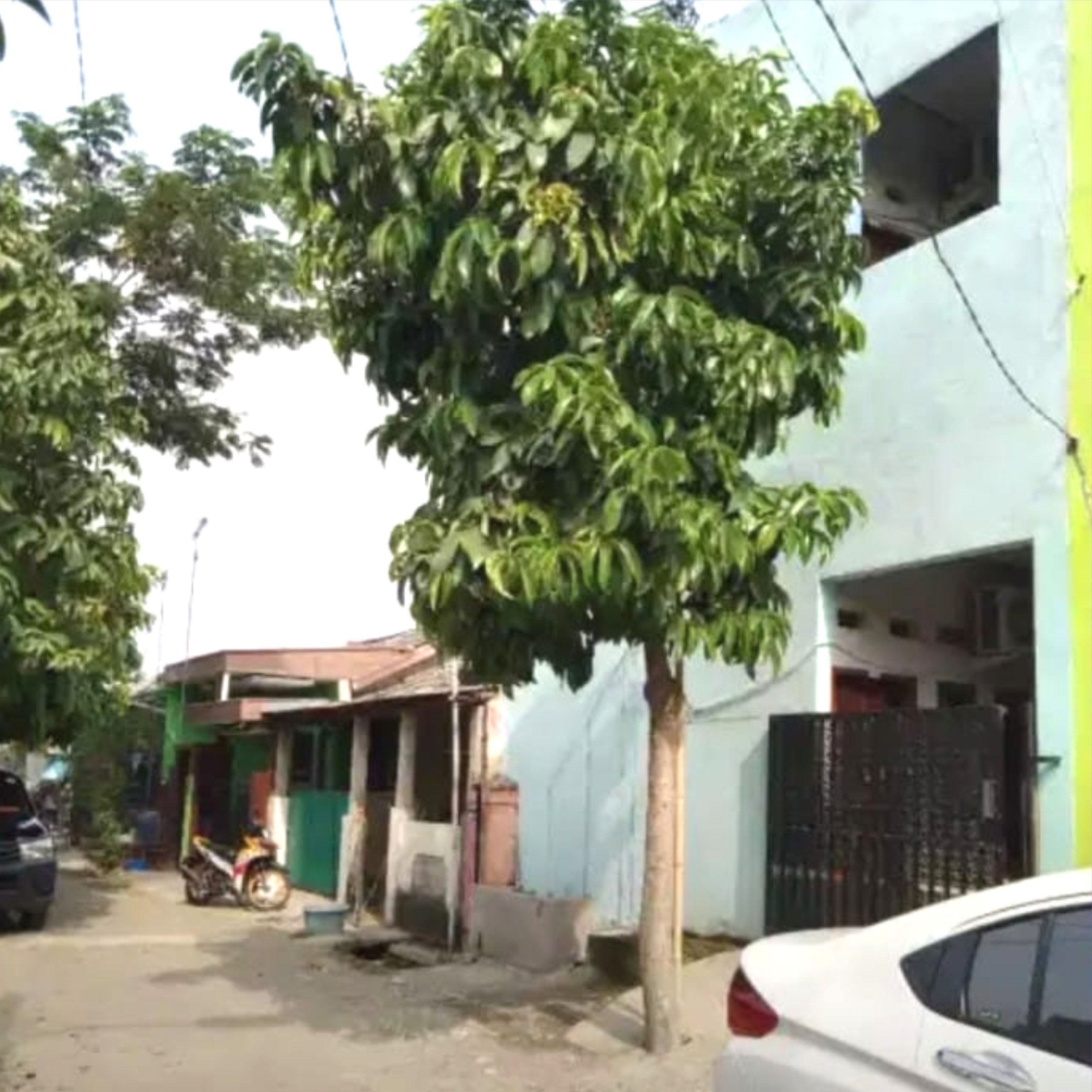 KOST EL
